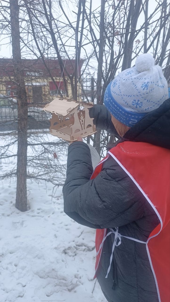 акция накормим птиц